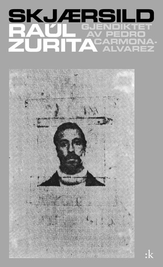 "Skjærsild" av Raúl Zurita