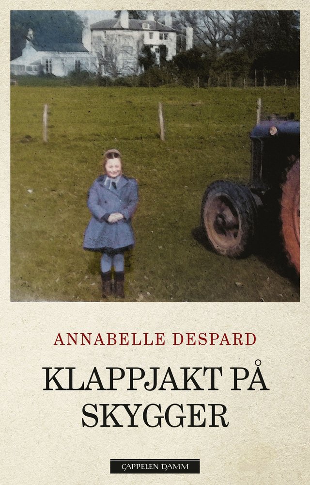 "Klappjakt på skygger" av Annabelle Despard