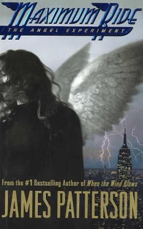 The angel experiment - maximum ride