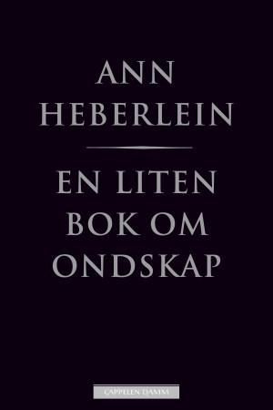 "En liten bok om ondskap" av Ann Heberlein