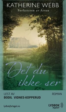 Det du ikke ser
