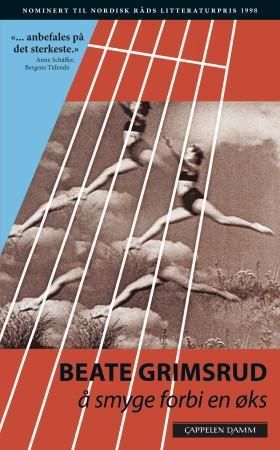 "Å smyge forbi en øks roman" av Beate Grimsrud