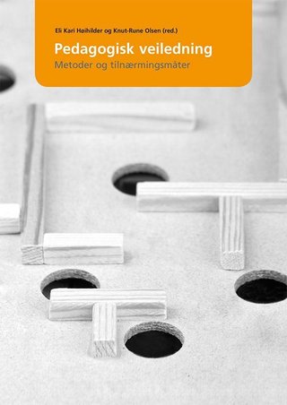 Pedagogisk veiledning - metoder og tilnærmingsmåter
