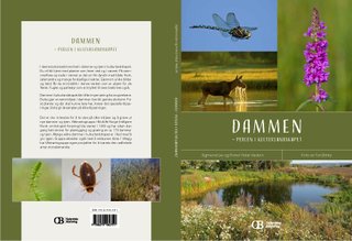 Dammen - perlen i landskapet