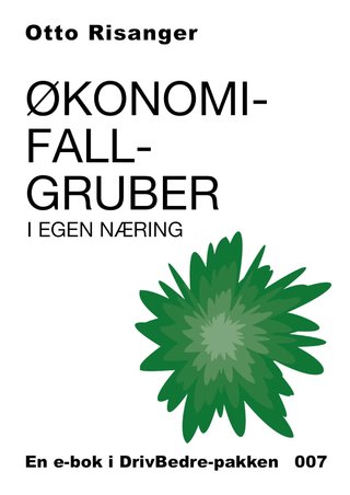 Økonomifallgruber i egen næring