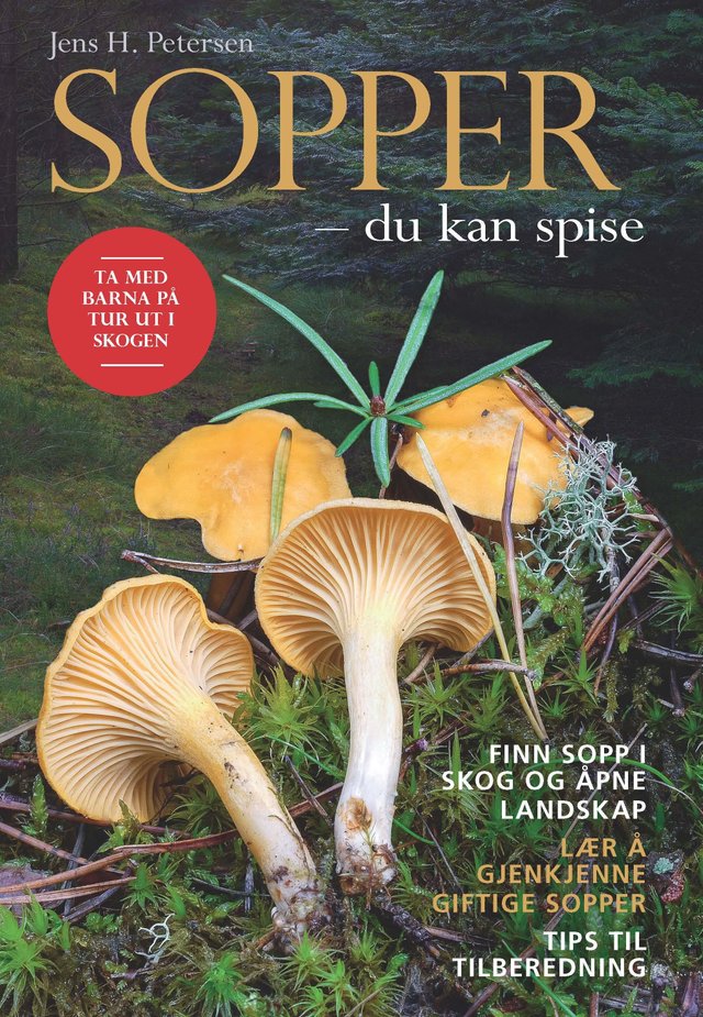 "Sopper - du kan spise" av Jens H. Petersen