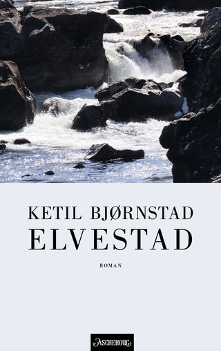 "Elvestad roman" av Ketil Bjørnstad