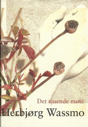 Det sjuende møte - roman