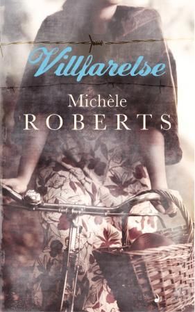 Villfarelse - roman