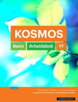 "Kosmos YF" av Siri Halvorsen