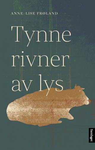 Tynne rivner av lys - roman