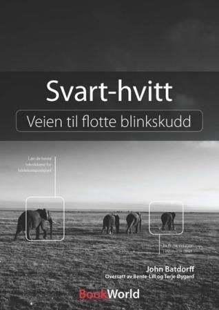 Svart-hvitt - veien til flotte blinkskudd