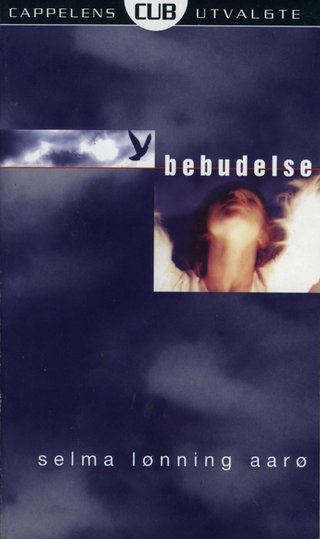 Bebudelse - roman