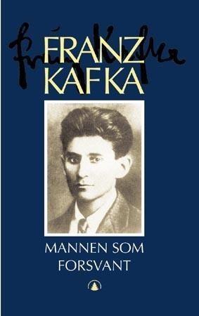 Mannen som forsvant - roman