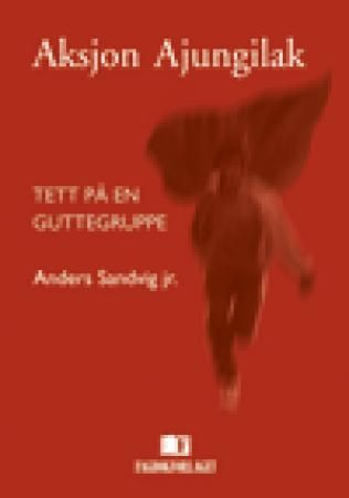 Aksjon Ajungilak - tett på en guttegruppe