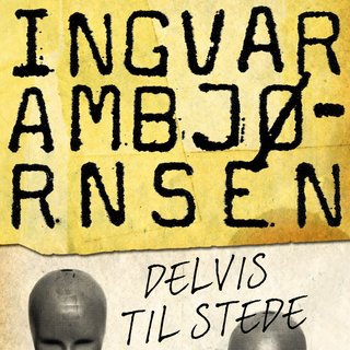 Delvis til stede - noveller