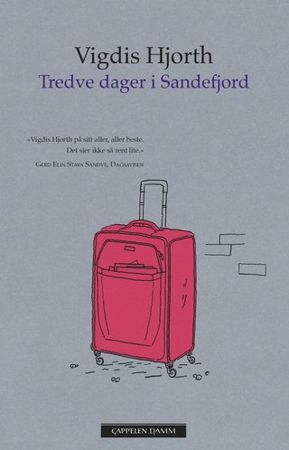 Tredve dager i Sandefjord - roman