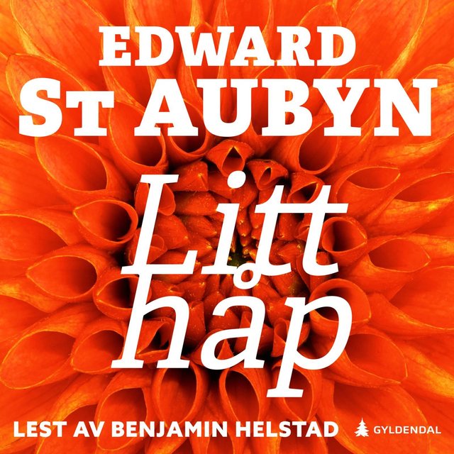"Litt håp" av Edward St. Aubyn