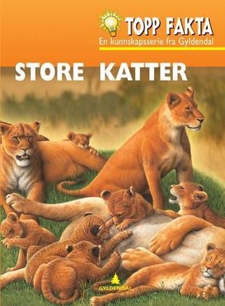 Store katter