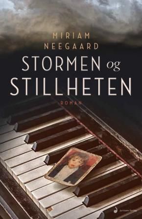 Stormen og stillheten - roman