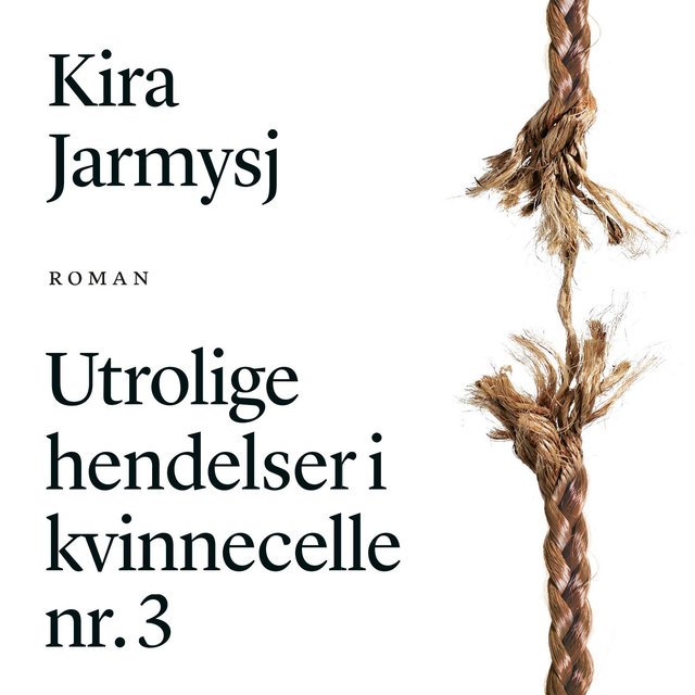 "Utrolige hendelser i kvinnecelle nr. 3" av Kira Jarmyš