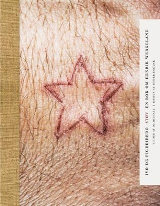 Støv - en bok om Henrik Wergeland