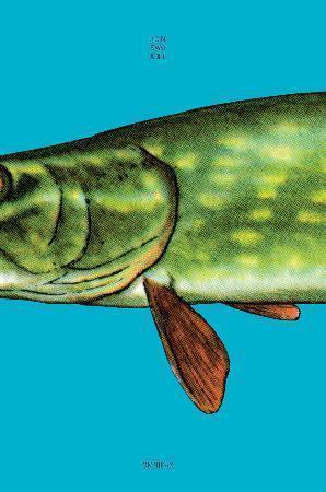 "XXL - en maksimalistisk roman om livet, kjærligheten og den store gjedda" av Jon Ewo