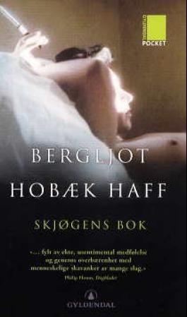 Skjøgens bok - roman