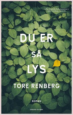 Du er så lys - roman
