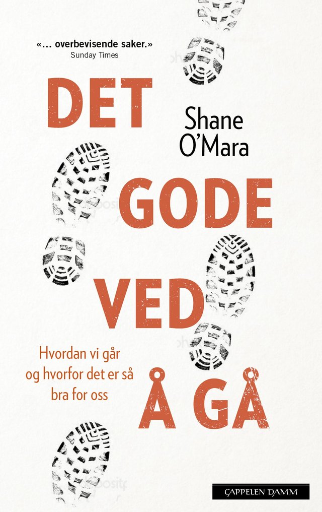 "Det gode ved å gå - hvordan vi går og hvorfor det er så bra for oss" av Shane O'Mara