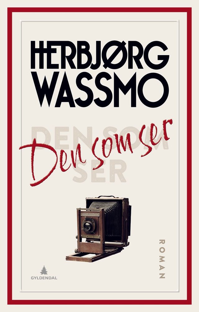 "Den som ser - roman" av Herbjørg Wassmo