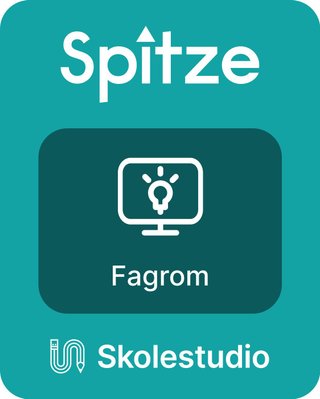 Spitze 8-10, Fagrom, Skolestudio - tysk på ungdomstrinnet