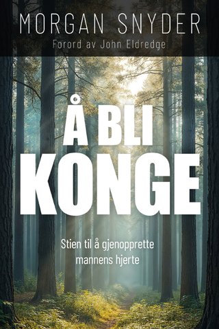 Å bli konge - stien til å gjenopprette mannens hjerte