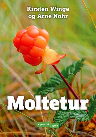 "Moltetur" av Kirsten Winge