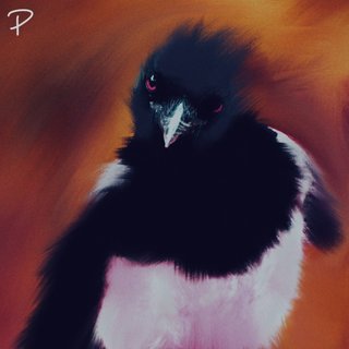 Per Ivar Hjeldsbakken Engevold