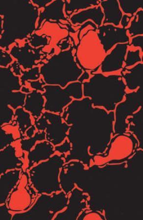 "Blood music - future classics" av Greg Bear