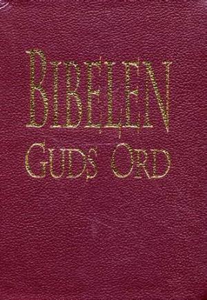 "Bibelen - Guds ord" av Norvald Yri