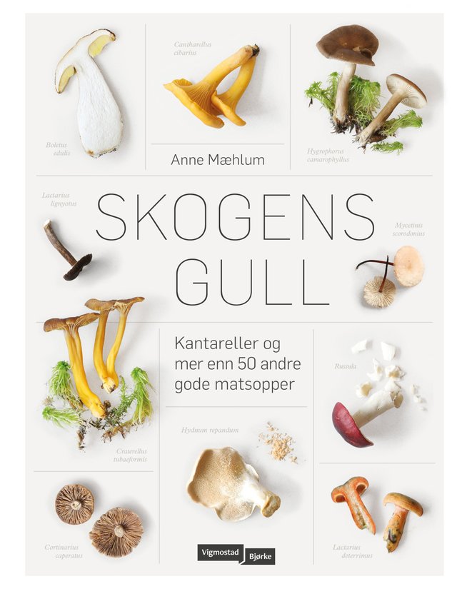 "Skogens gull" av Anne Mæhlum