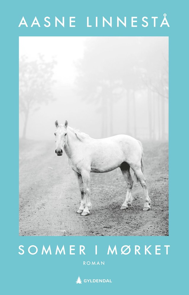 "Sommer i mørket - roman" av Aasne Linnestå