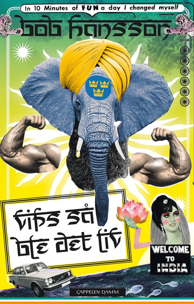 "Vips så ble det liv" av Bob Hansson