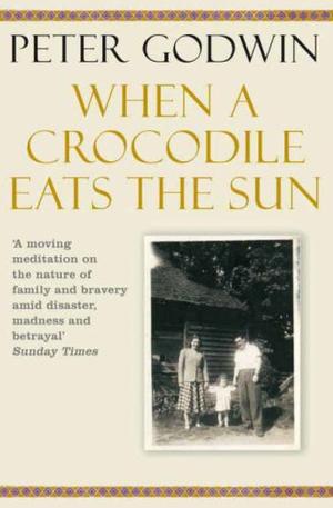 "When a Crocodile Eats the Sun" av Peter Godwin
