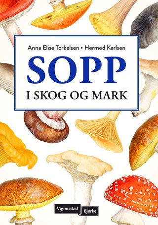Sopp - i skog og mark