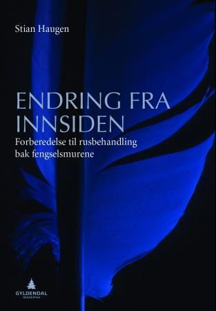 "Endring fra innsiden - forberedelse til rusbehandling bak fengselsmurene" av Stian Haugen
