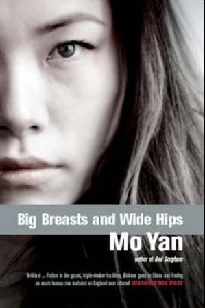 Big breasts and wide hips