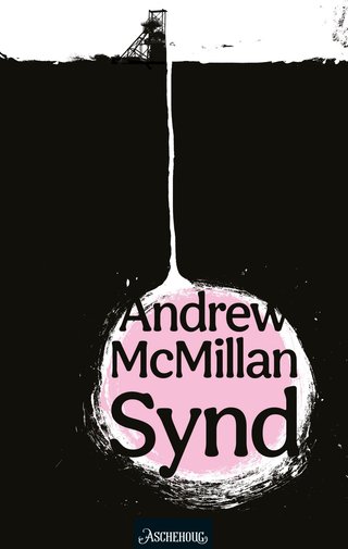 "Synd notater fra en småby" av Andrew McMillan