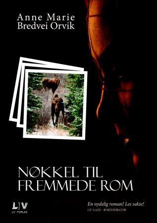 "Nøkkel til fremmede rom" av Anne Marie Bredvei Orvik