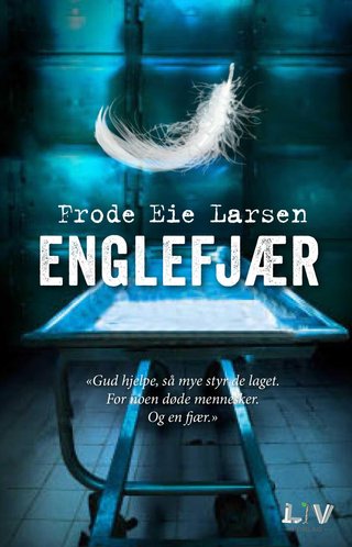 Englefjær - krimroman