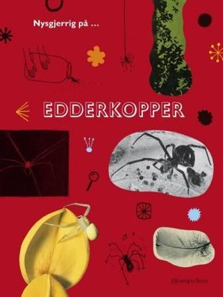 "Edderkopper" av Dagny Holm