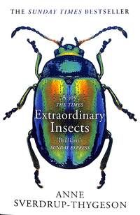 Extraordinary insects - weird, wonderful, indispensable, the ones who run our world