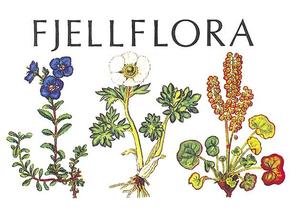 "Fjellflora" av Olav Gjærevoll